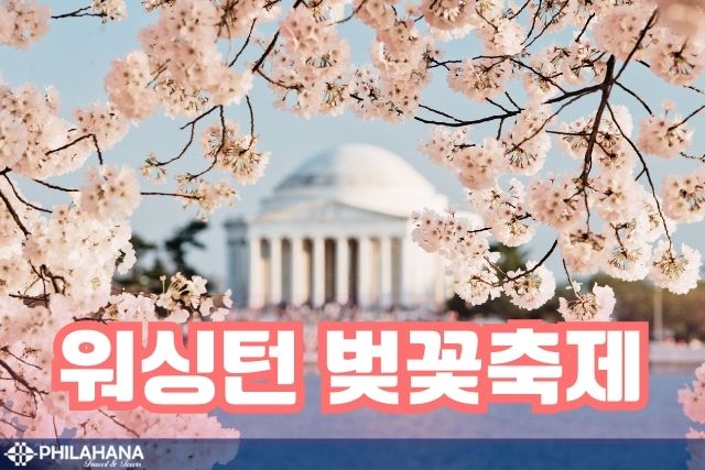 [2026 고객 감사제] 워싱턴DC 벚꽃특선